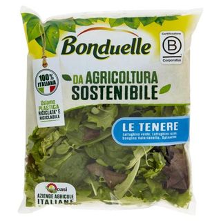 Bonduelle Le Tenere 125 G - 916216