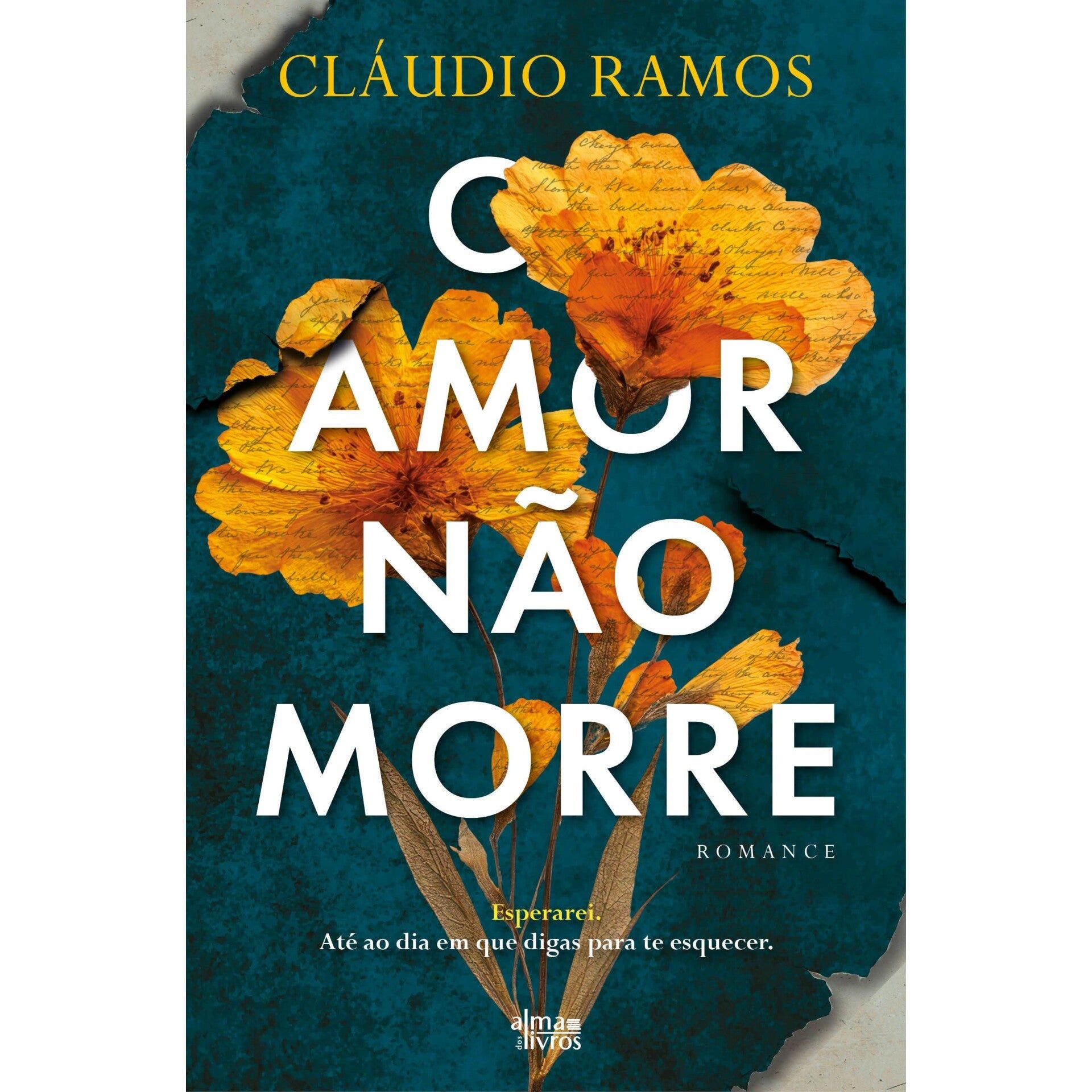 Ficção