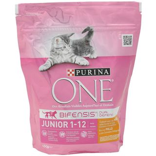 Alimento Gatos Purina Junior Bolsa 450 Gr (152244)