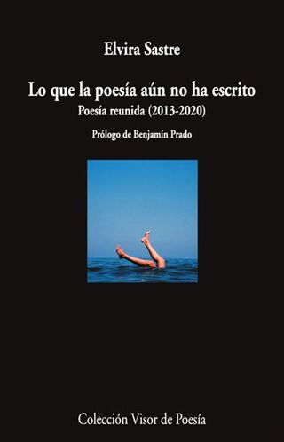 Lo Que La Poesía Aún No Ha Escrito (9788498954920)
