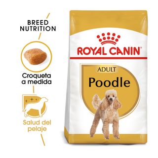 Royal Canin Adult Poodle Pienso Para Perros 1.5Kg