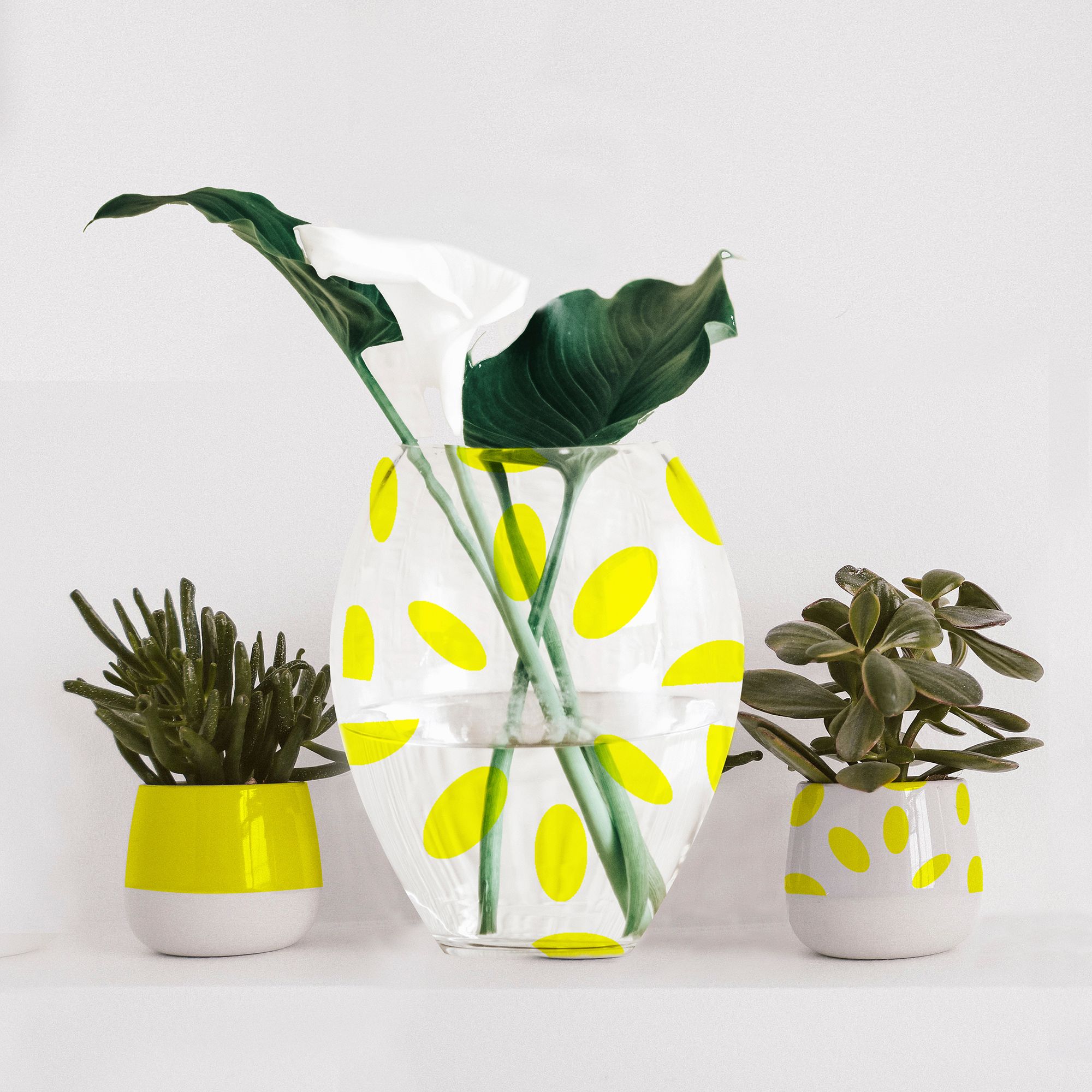 Produtos para Madeira