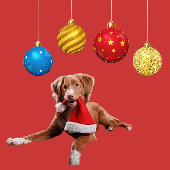 Perros Navidad