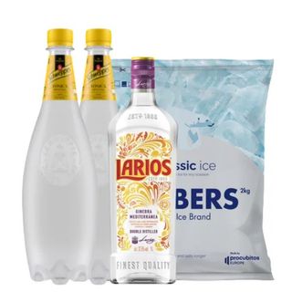 Pack Larios Tónica