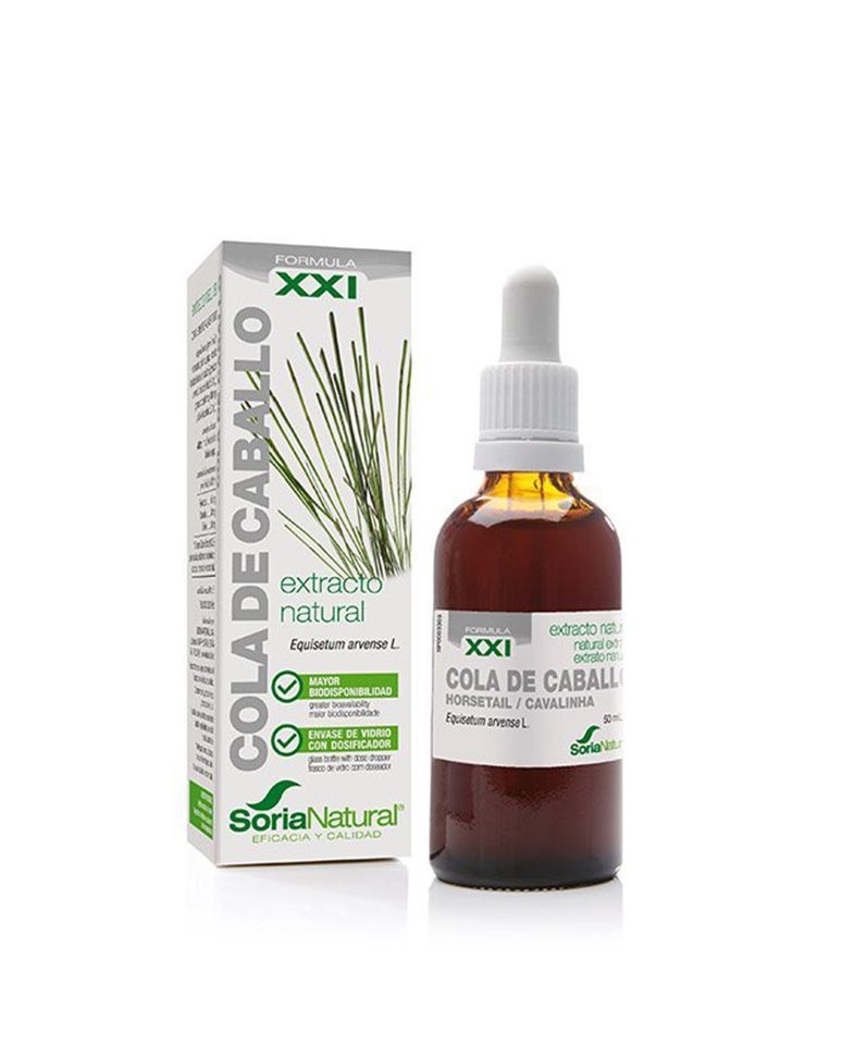 Sistema Inmunológico y Remedios Naturales