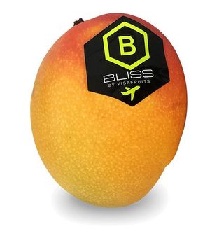 Mango de Avión 350g Aprox.