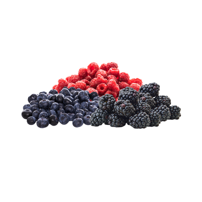 Mix Frutos do Bosque 170g