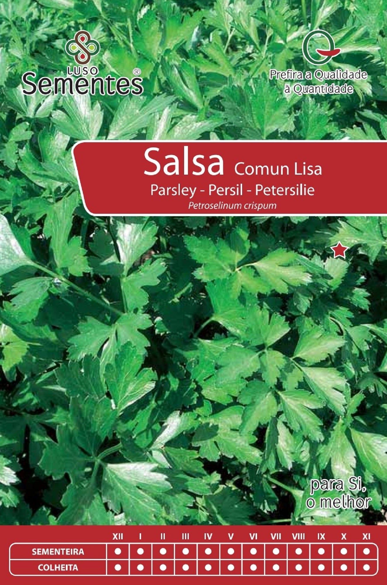 Sementes e Plantas