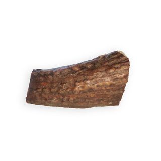 Wolly's ranch dog snack corno di renna aperta s