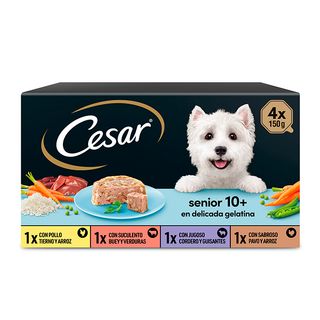 César multipack senior 4x150 g