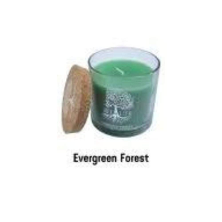 Tree of Life Lumanare Parfumata - Evergreen Forest