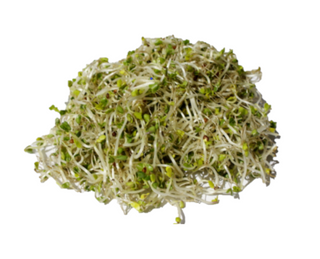 Поли Вита кълнове от броколи 50 ГР / 38131525