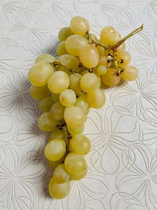 Bijelo grožđe