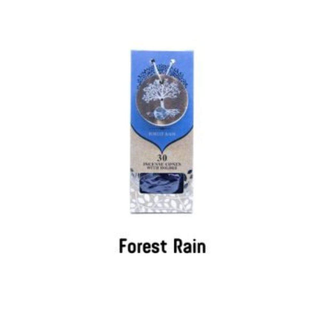 Tree of Life Conuri Parfumate - Forest Rain