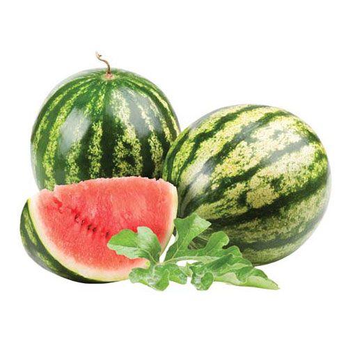 Диня Произход Гърция Опс