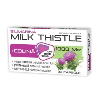 Zdrovit Silimarina Milk Thistle + Colina 30 Capsule