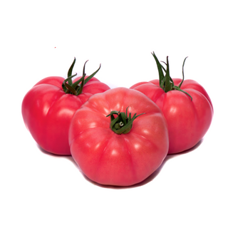 Roșii Roze