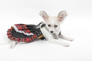 Rochie pentru caini Jeans cu Bretele masura 35