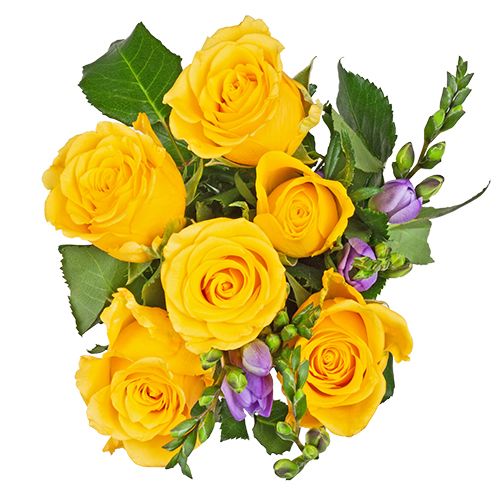 Plante și Flori❣️