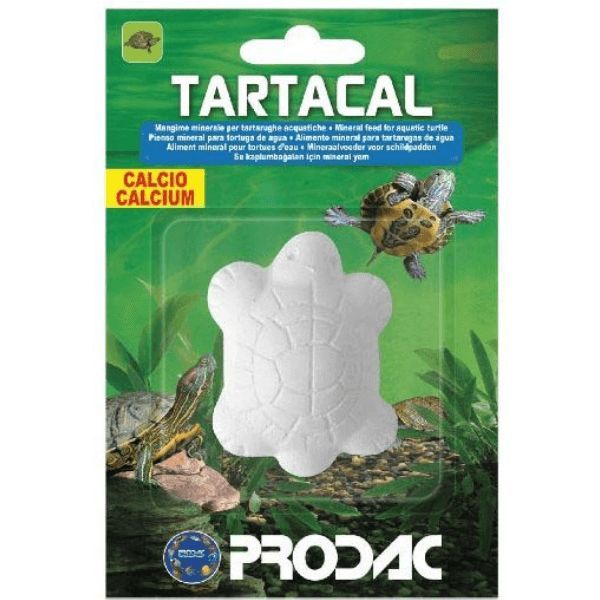 Hrana za Kornjače