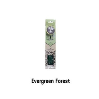 Tree of Life Betisoare Parfumate – Evergreen Forest