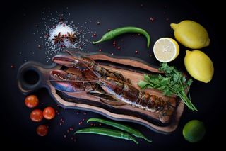 Homar / Bogavante - 550g