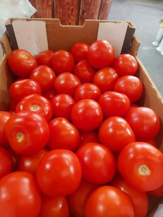Domaći Paradajz