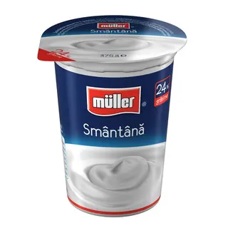 Smantana 24% grasime 375g Muller