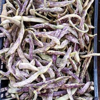 Domaća Mahuna Šarena