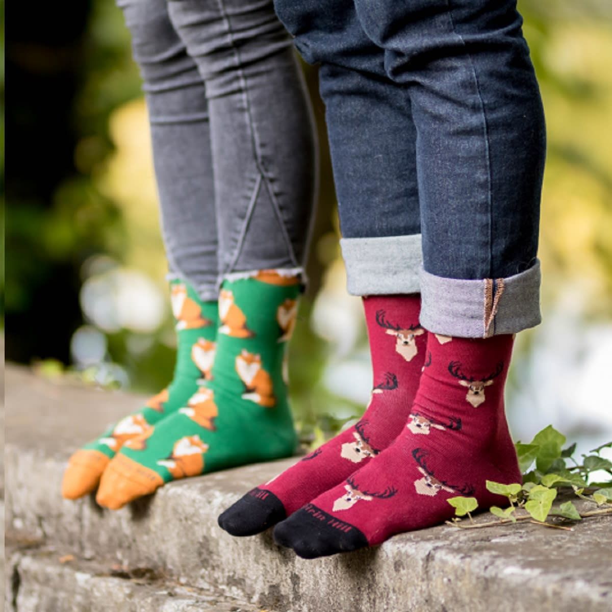 Памук (Cotton) D