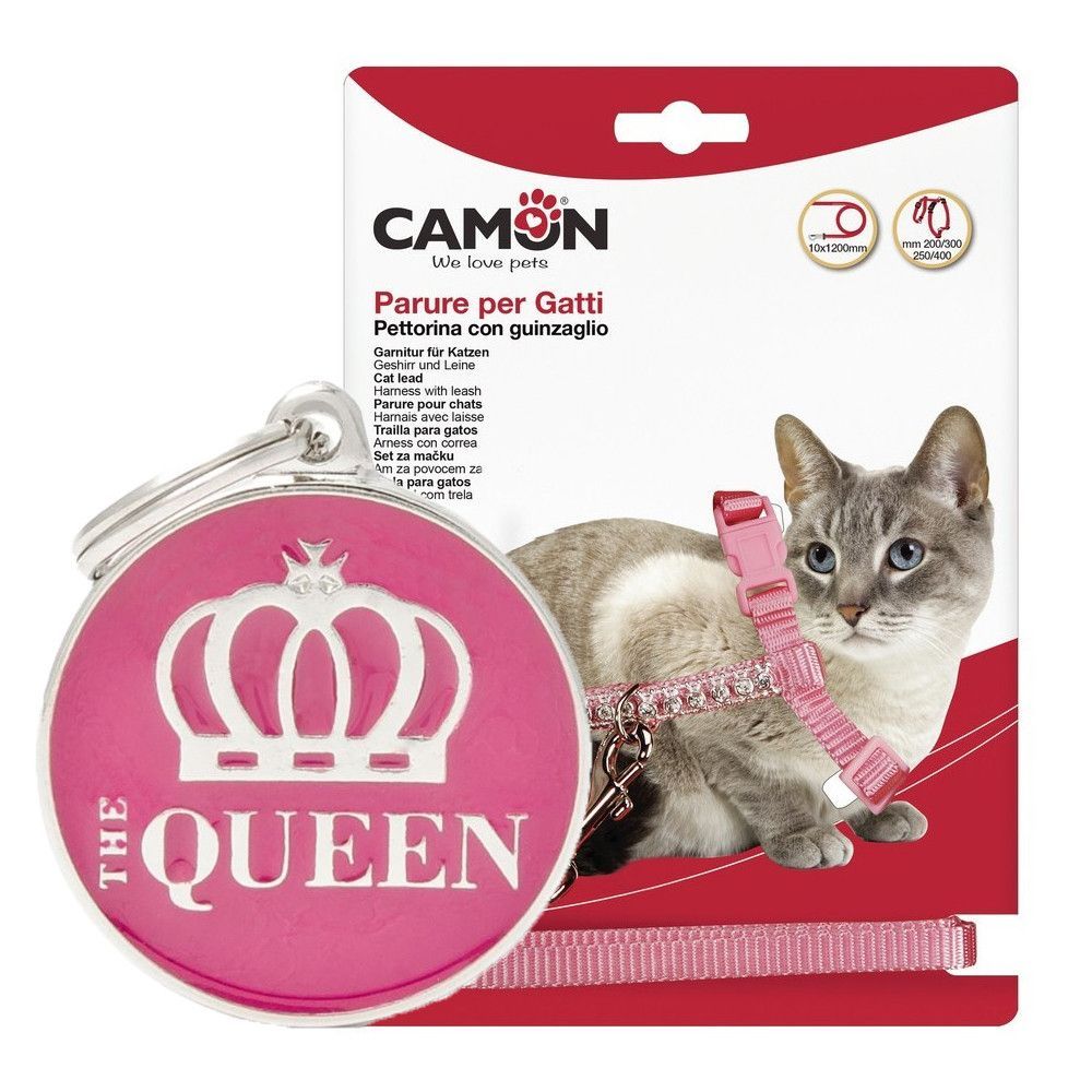 Zgărzi, lese, hamuri şi adresiere pisici