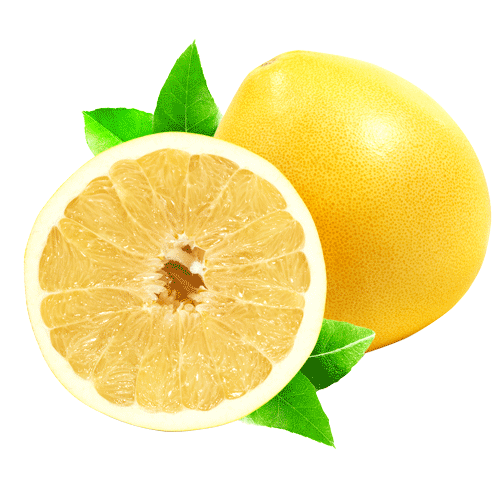 Помело