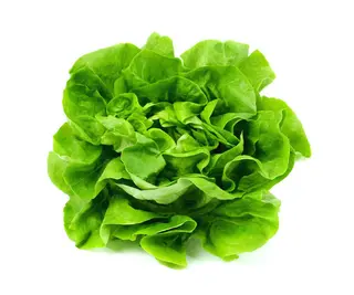 Salată verde