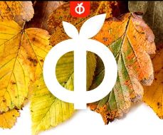 Нови Артикули