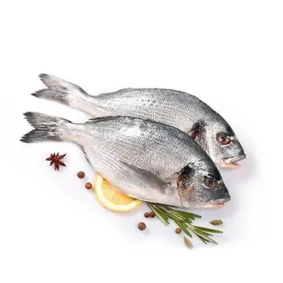 Dorada regală
