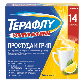 ТЕРАФЛУ САШЕТА X 14