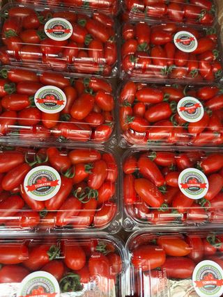 Rosii Cherry Caserola Grecia