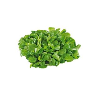 Spanac 400G