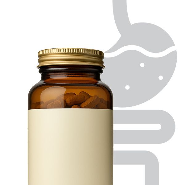 Храносмилателна система