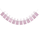 Баннер - Флажки "12 Месяцев" (12шт, Девочка)