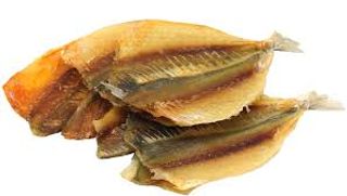 Stavrid galben dungat XXL