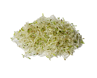 Поли Вита кълнове от алфа-алфа 80 ГР / 38132578