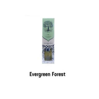 Tree of Life Odorizant cu Betisoare Parfumate - Evergreen Forest