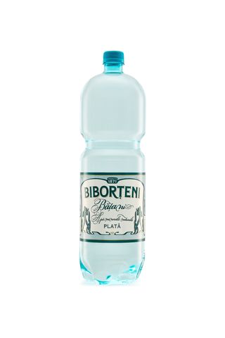 BIBORTENI APA MINERALA PLATA 2L