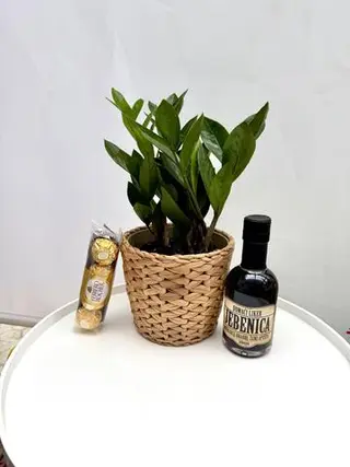 Zamioculcas biljka, liker i Ferrero poklon kutija
