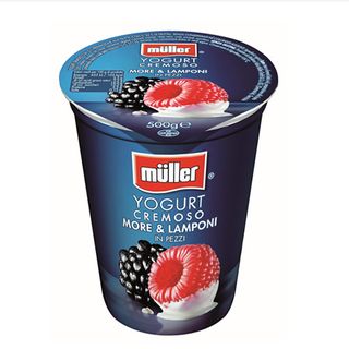 Muller Iaurt Mure Zmeura 3,6%Gr.500G