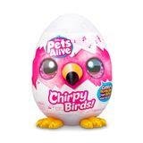 Jucarie de plus surpriza  PA  9537