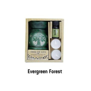 Set Tree of Life Lumanare Parfumata - Evergreen Forest