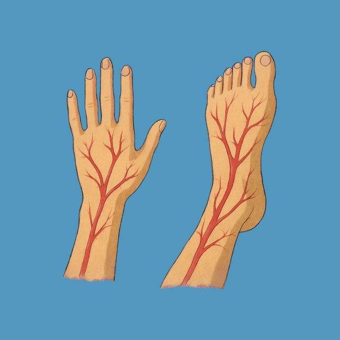 Circulație periferică