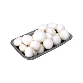 SAMPINJONI PAKOVANI KOM